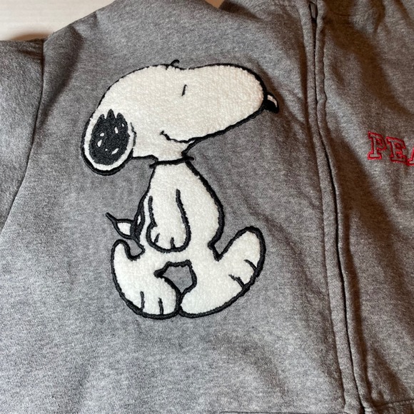 Peanuts Snoopy Woodstock Graphic Full Zip Hoodie Heather Charcoal XS - Picture 5 of 7